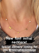 Load image into Gallery viewer, The “Danielle” Double Initial Necklace